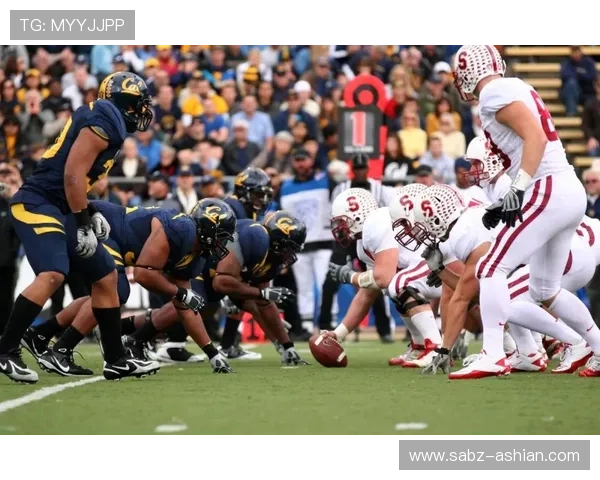 华体会体育移动端体验优化方案让你随时随地畅享体育盛事 华体会体育移动端体验优化方案让你随时随地畅享体育盛事