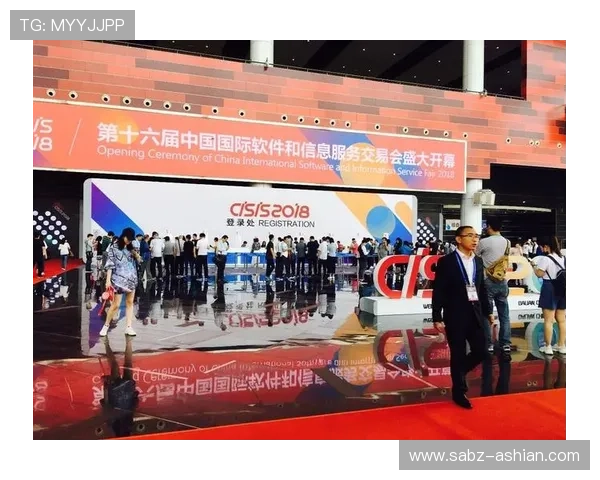 华体会全站作为国米赞助商如何推动体育产业数字化转型与创新发展